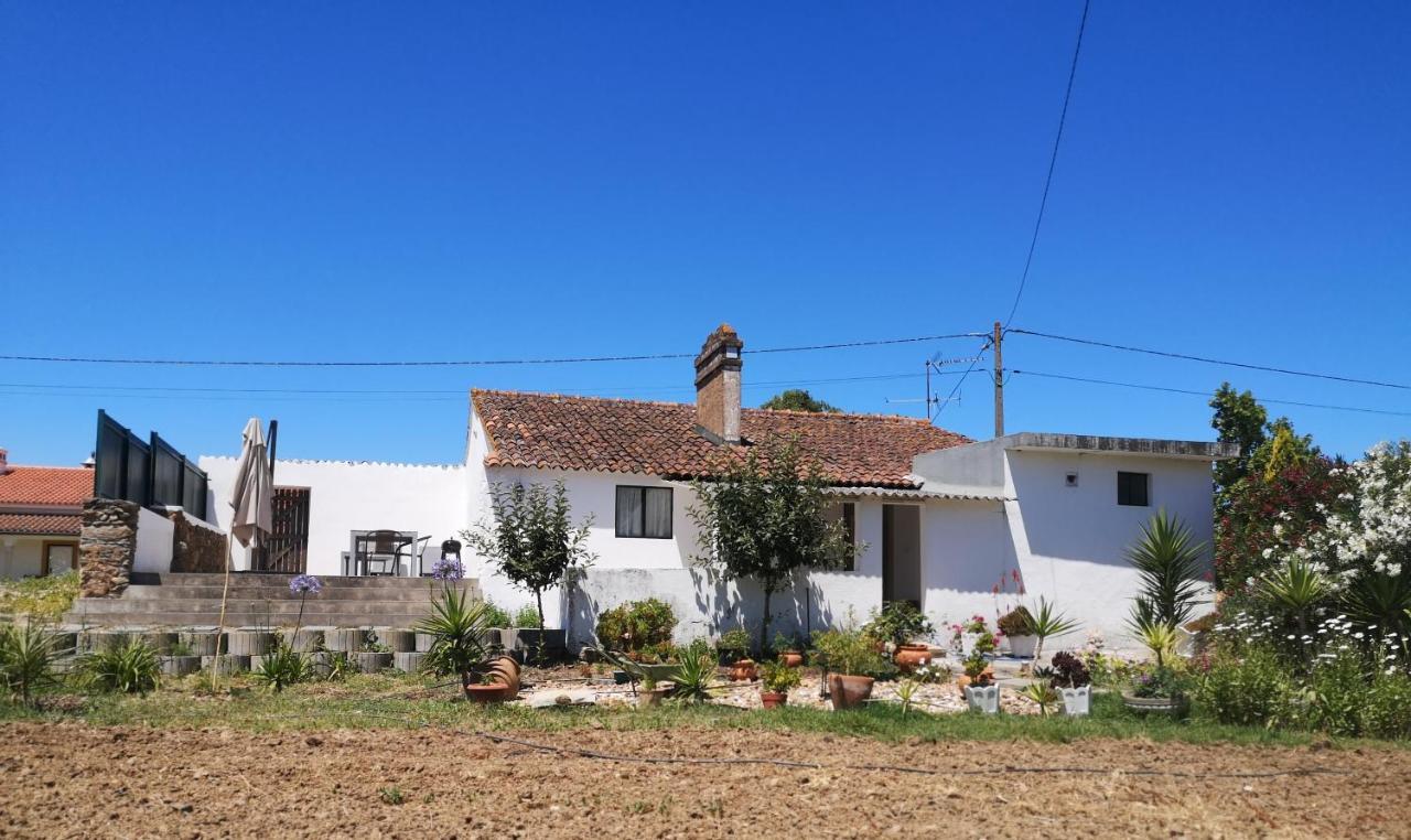 Casa Da Quinta Pension Sao Pedro de Tomar Buitenkant foto